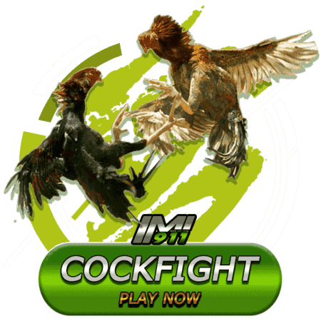 cockfight